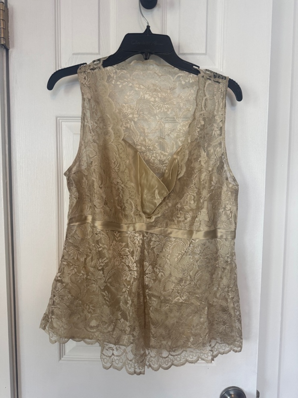 Ann Taylor Champagne Lace Satin-Trim V-Neck Camisole (new w/o tag, lost weight)